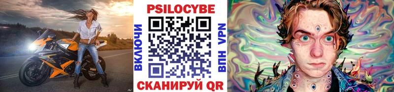 где купить   Палласовка  Галлюциногенные грибы Psilocybe 